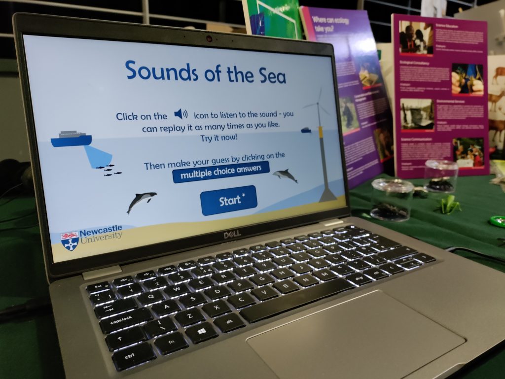 Laptop showing information about Sarah Dickson's research into underwater noise during Offshore Wind Turbine operation