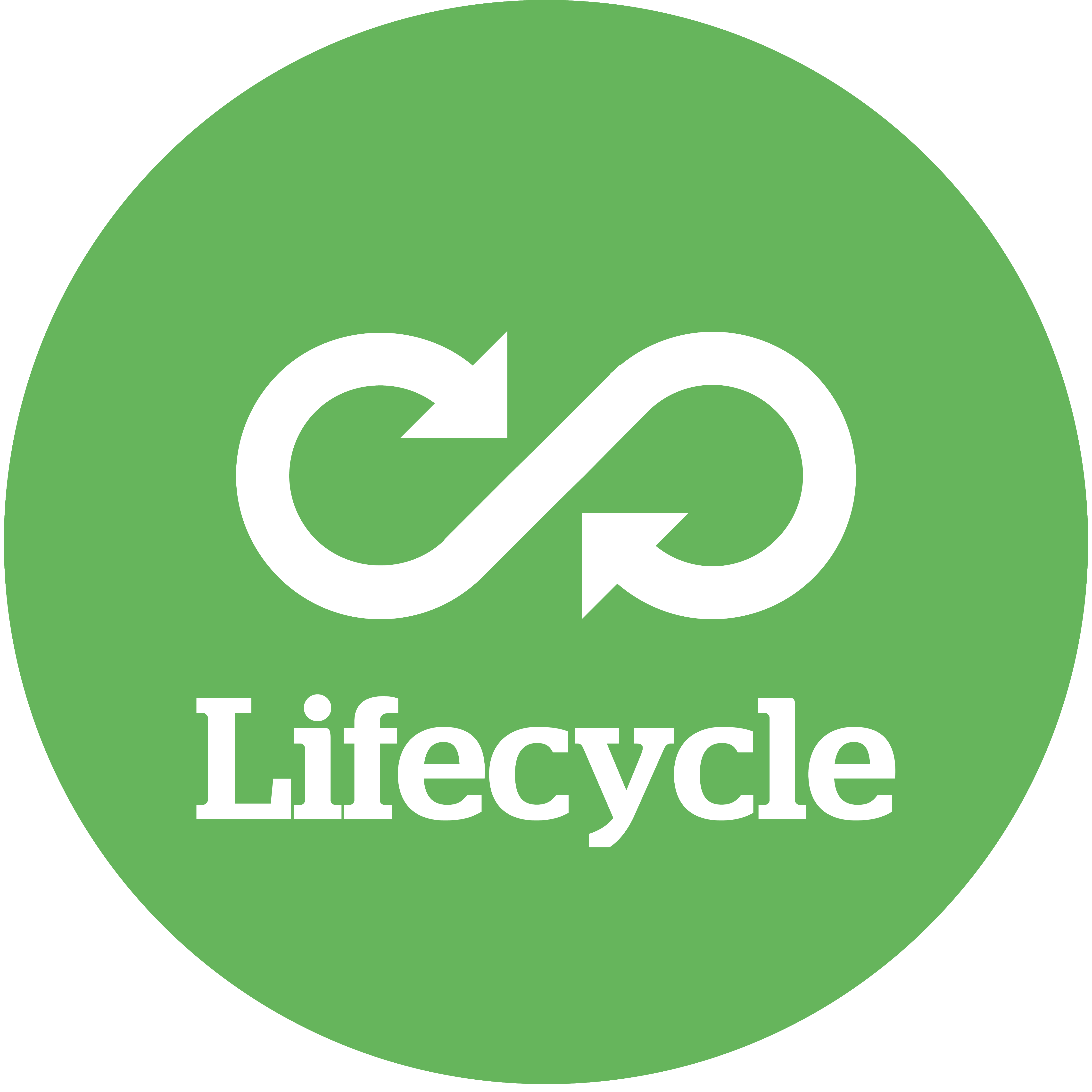 Icon saying 'lifecycle' with infinity symbol